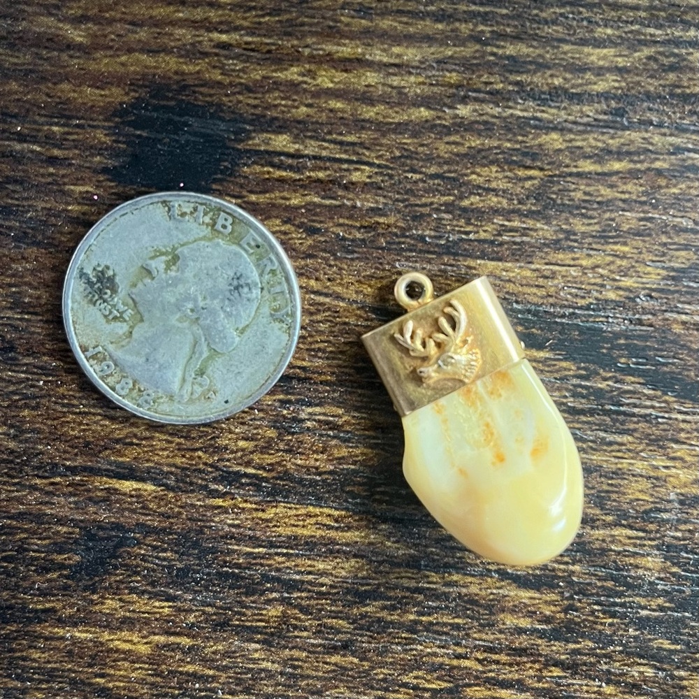 Vintage 14k Gold Elk Tooth Pendant Charm